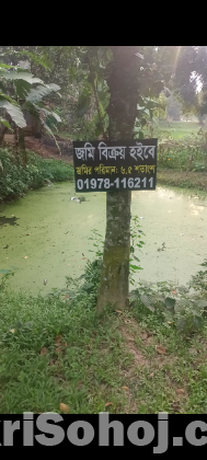 জমি